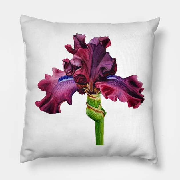 Purple Iris Pillow by Irsaervin