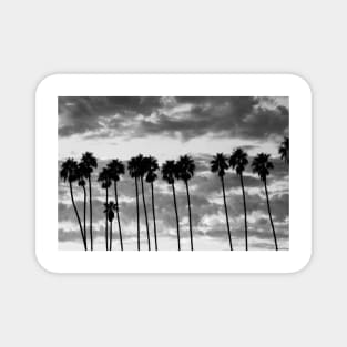 Palm Trees Against Cloudy Sky Santa Barbara Magnet