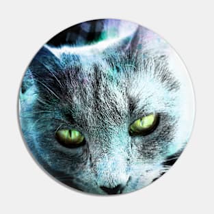 Green Eyes Grey Fur Beautiful Pin