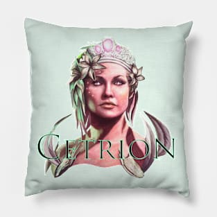 Cetrion Smaller Text Pillow