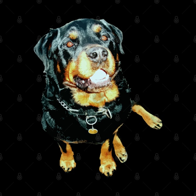 Handsome Rottweiler Sit Position Cut Out by taiche