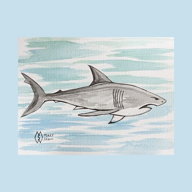 Fierce shark by Matt Starr Fine Art