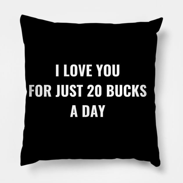 I Love You For Just 20 Bucks A Day Pillow by Intellectual Asshole