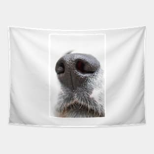 A Dog&#39;s Nose Always Knows Tapestry