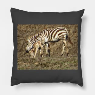 Grazing zebras Pillow