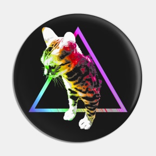 Rainbow Triangle Cat Pin