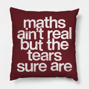 Maths Ain't Real But The Tears Sure Are Pillow