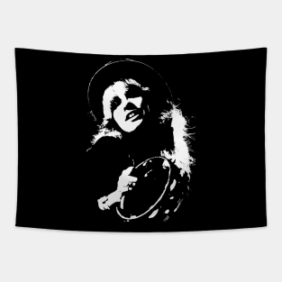 Stevie Nicks Tapestry