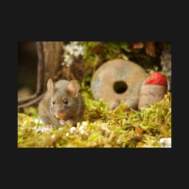 Wild  cute garden mouse by Simon-dell