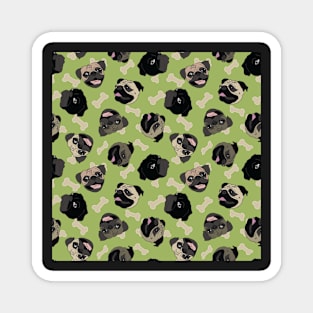 Laughing Pugs in Mint Magnet