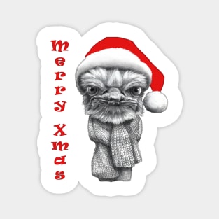 Merry Xmas Ostrich G2016-145 Magnet