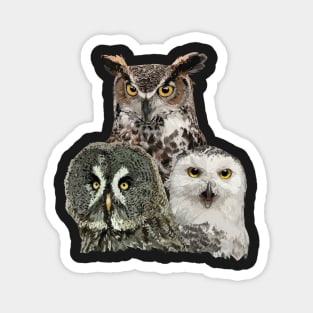 Owls Magnet