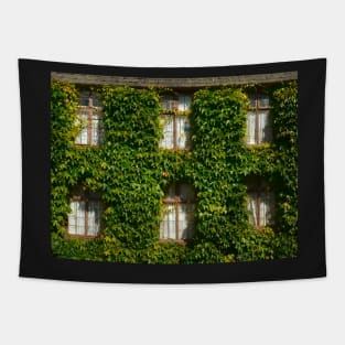 Ivy In Wivy Tapestry
