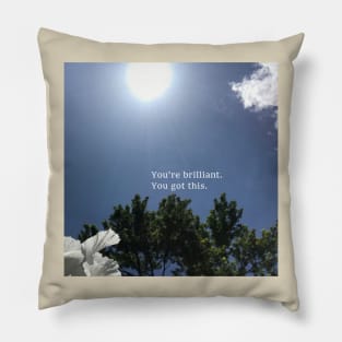 You got this. Motivation and Inspo. Pillow