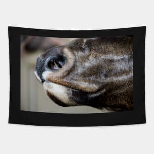 Caribou Muzzle Tapestry