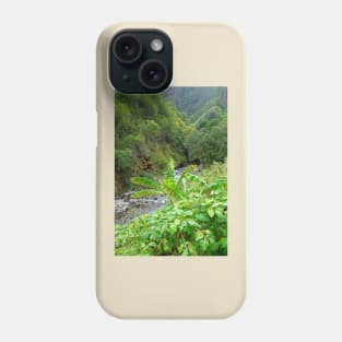 Iao Valley State Monument Study 10 Phone Case