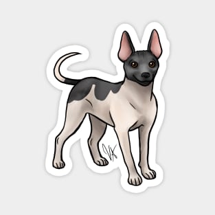 American Hairless Terrier - White and Black Magnet