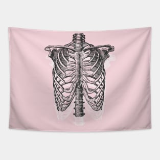 Anatomical Ribcage •  Pastel Goth Tapestry