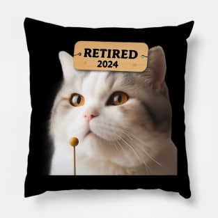 2024 Not My Problem Anymore: Cute Old Cat Retires Pillow