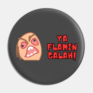 Ya Flamin Galah! Pin