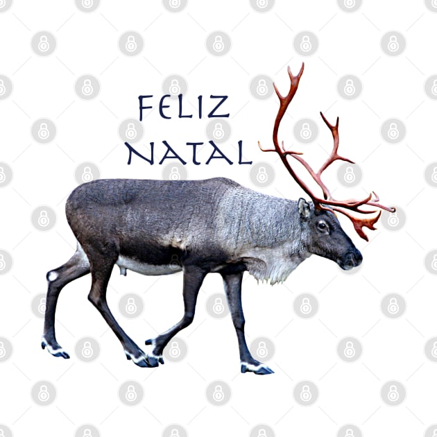 Feliz Natal by FotoJarmo