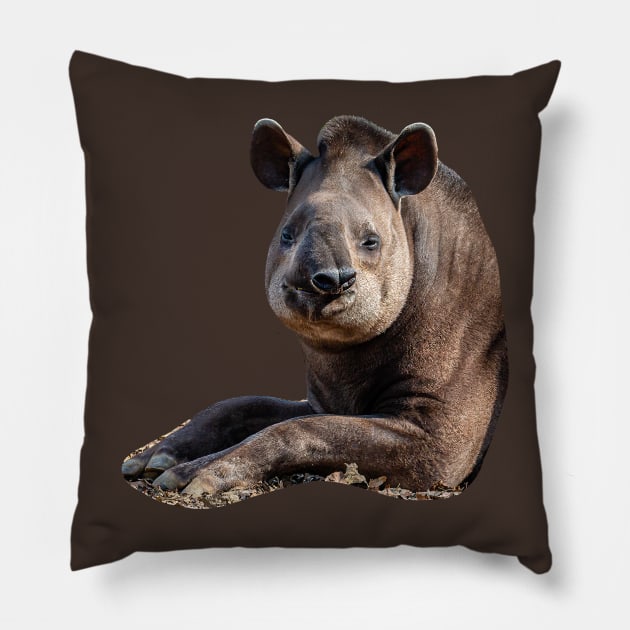 Brazilian Tapir Pillow by dalyndigaital2@gmail.com