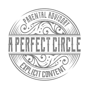 A Perfect Circle Vintage Ornament T-Shirt