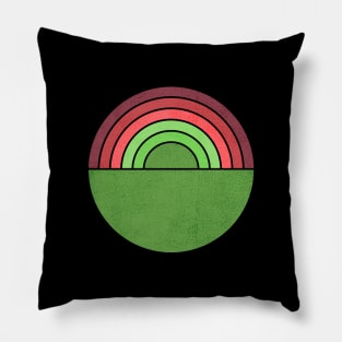 Spring Rainbow Pillow