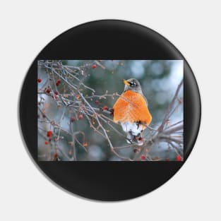 Robin in Winter #3 Pin