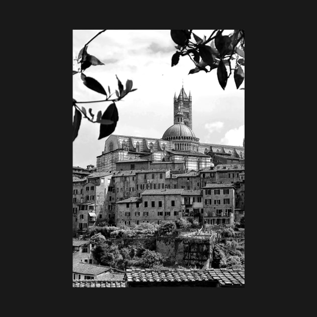 Siena Skyline Cityscape Tuscany Italy by AndyEvansPhotos