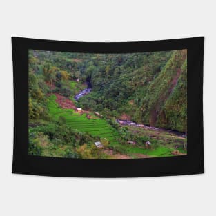 rice field in the valley Tapestry