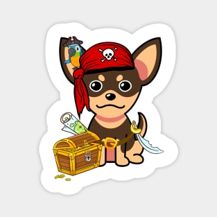 Cute small dog is a pirate Magnet