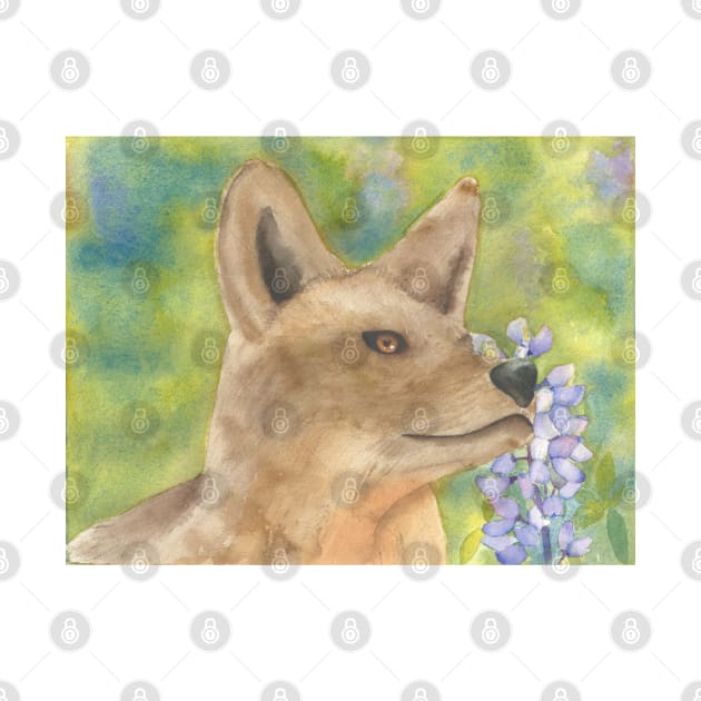Coyote With Lupine by Sharon Rose Art