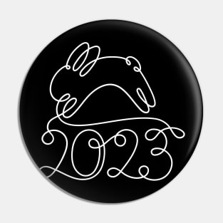 Year of the rabbit! Pin