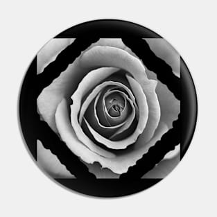 White Rose Dimond Pin