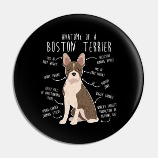 Brindle Boston Terrier Dog Anatomy Pin