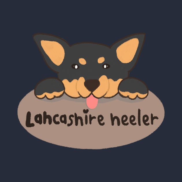 Lancashire heeler by Tafflidy