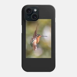 Hummingbird Acrobatics Phone Case