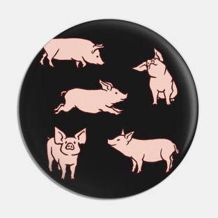 little pigs sticking Pin