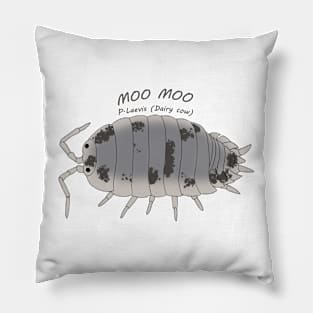 Porcelio laevis (dariy cow) Moo Moo Pillow