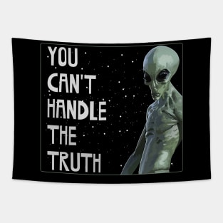 You Can't Handle The Truth - Grey Alien - Area 51 Tapestry