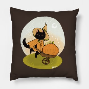 Fall Harvest Pillow