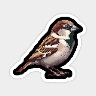 16-Bit Sparrow Magnet