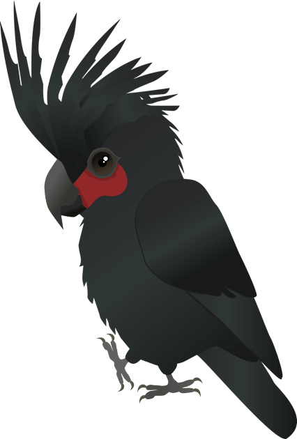 Palm cockatoo vector illustration Kids T-Shirt by Bwiselizzy