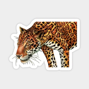 Jaguar Magnet