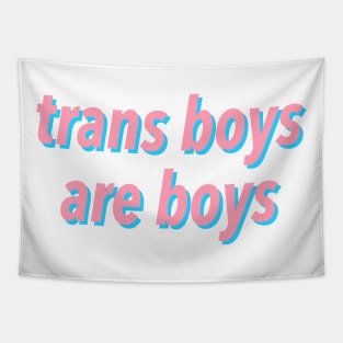 trans boys are boys Tapestry