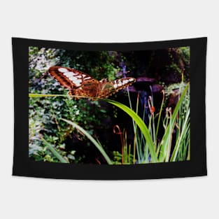 Butterfly Balancing Act (Clipper Parthenos Sylvia) Tapestry