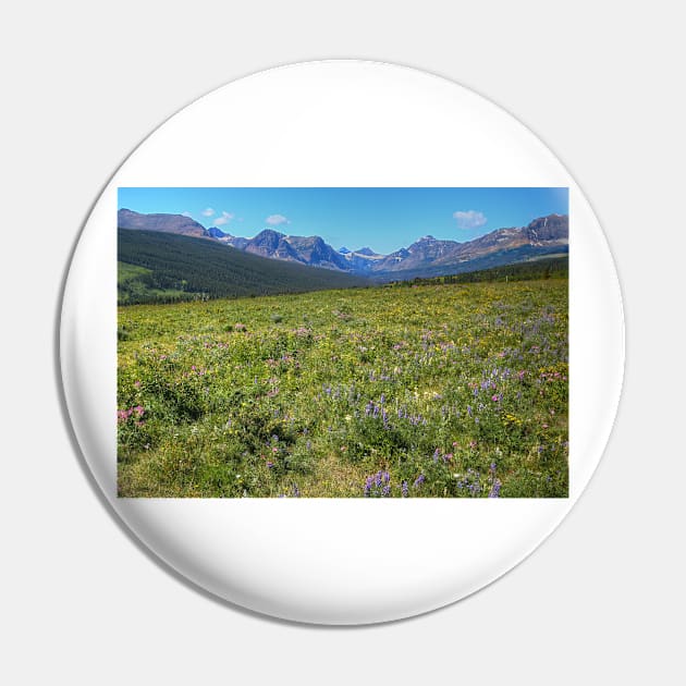 Glacier National Park Wild Flowers Pin by StonePics