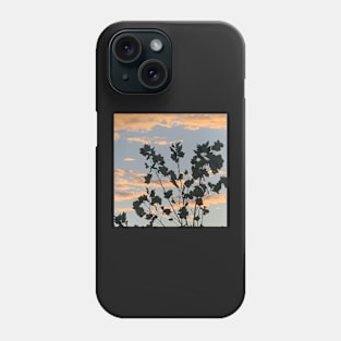 Sunset Phone Case