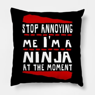 Ninja birthday gift hobby sports skill Pillow